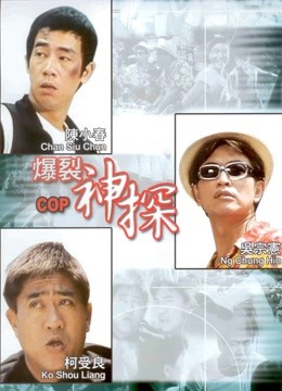 神探二又二分之一海报